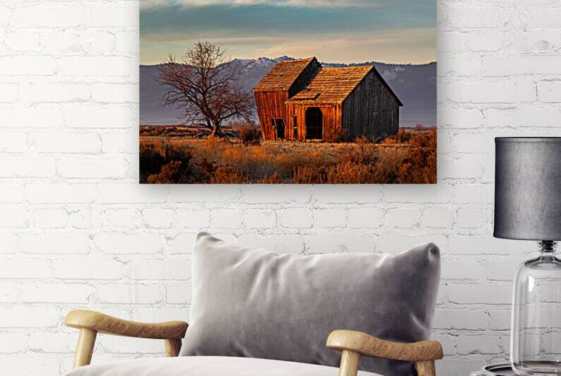 The Old Barn - Lassen County California by Mike Lee