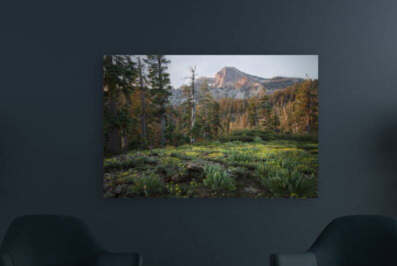 Dawn on the Packer Saddle   Sierra Buttes   Northern California by Mike Lee