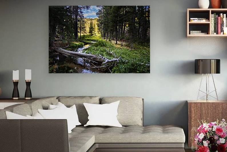Hat Creek Paradise - Lassen Volcanic National Park by Mike Lee