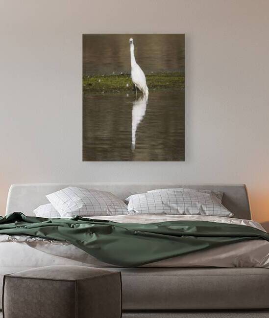 Ive Been Made - Snowy Egret in Lassen County California by Mike Lee