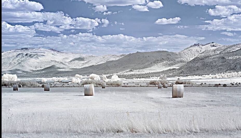 Hay Field in Invisible Light   - Lassen County California by Mike Lee