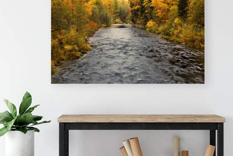 Sacramento River Fall Colors - Sacramento River at Soda Creek - Shasta County California by Mike Lee