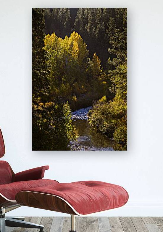 Susan River Autumn Vista - Lassen County California by Mike Lee