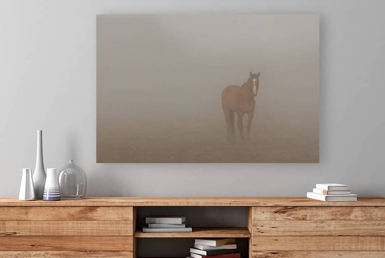Foggy Dreamer - Dreamcatchers Wild Horse and Burro Sanctuary - Lassen County California by Mike Lee