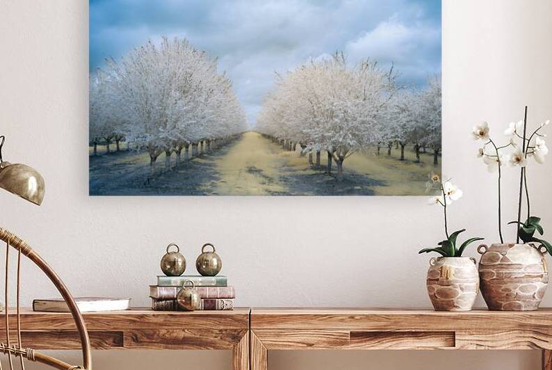 Blooming Almonds Infrared - Artois - Glenn County California by Mike Lee