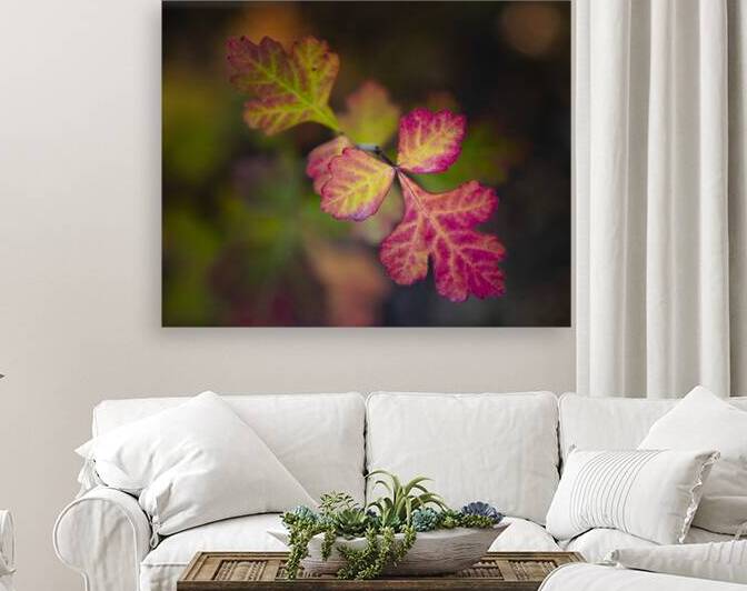 Leaves of Three - 4X5 by Mike Lee
