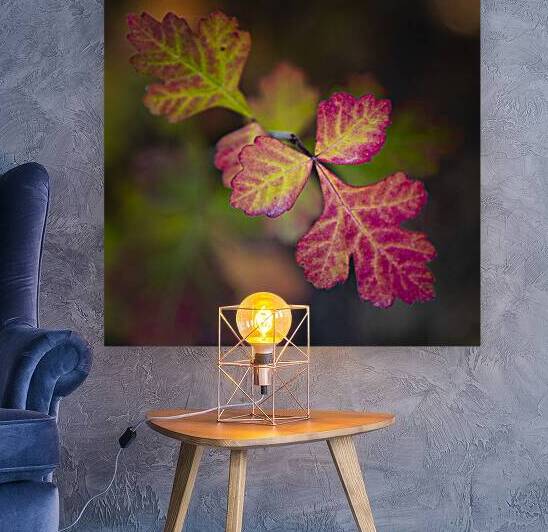 Leaves of Three - Square by Mike Lee