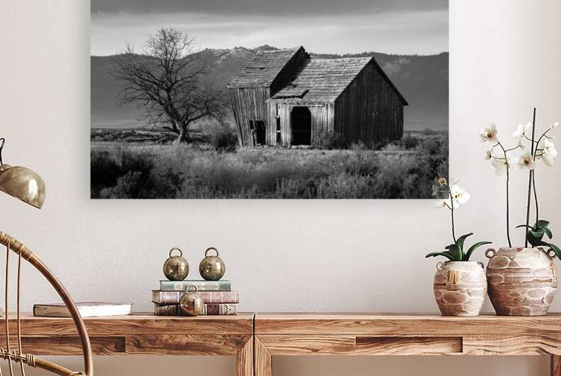 The Old Barn Monochrome - Lassen County California by Mike Lee