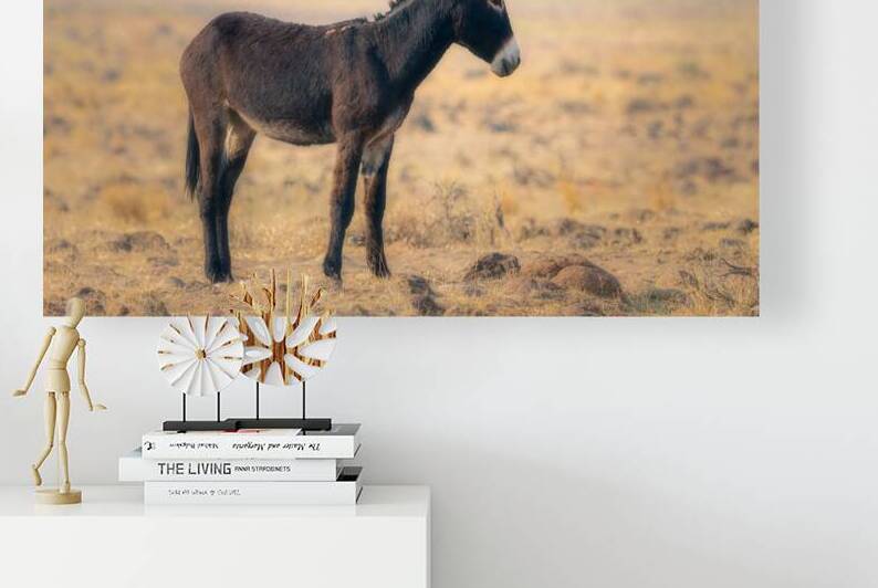 Desert Burro in Profile - Smoke Creek Desert - Nevada California Line by Mike Lee