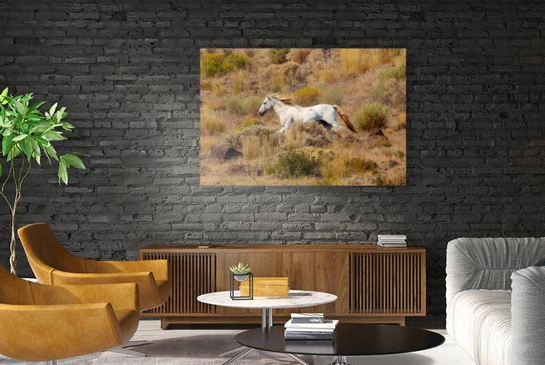 Running Free - Wild Stallion in Lassen County California by Mike Lee