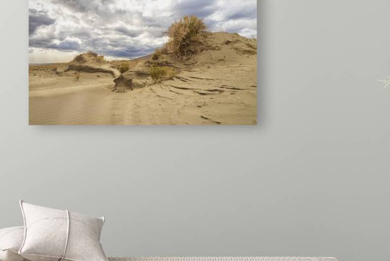 Windblown Dunes in Christmas Valley - Central Oregon Desert by Mike Lee