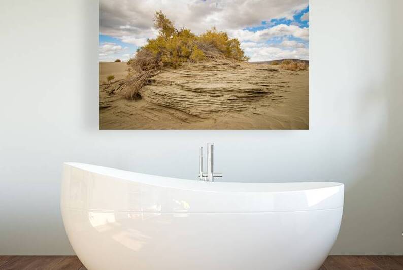 Christmas Valley Textures - Central Oregon Desert by Mike Lee