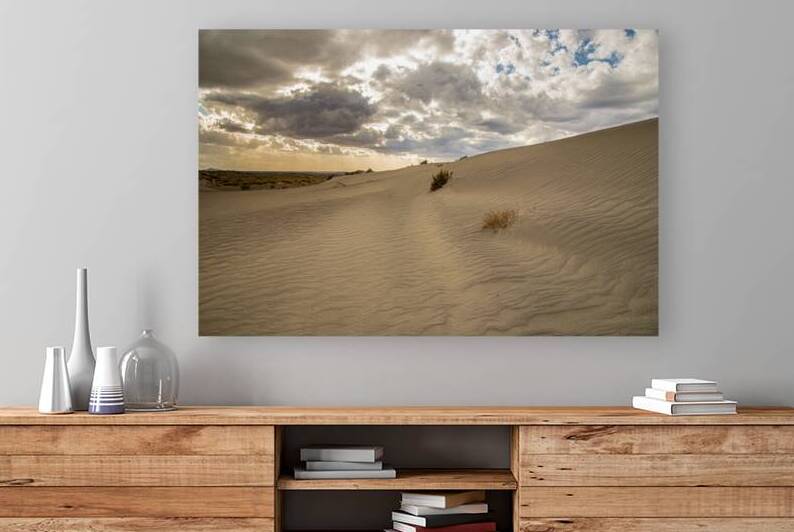 Christmas Valley Dune - Central Oregon Desert by Mike Lee