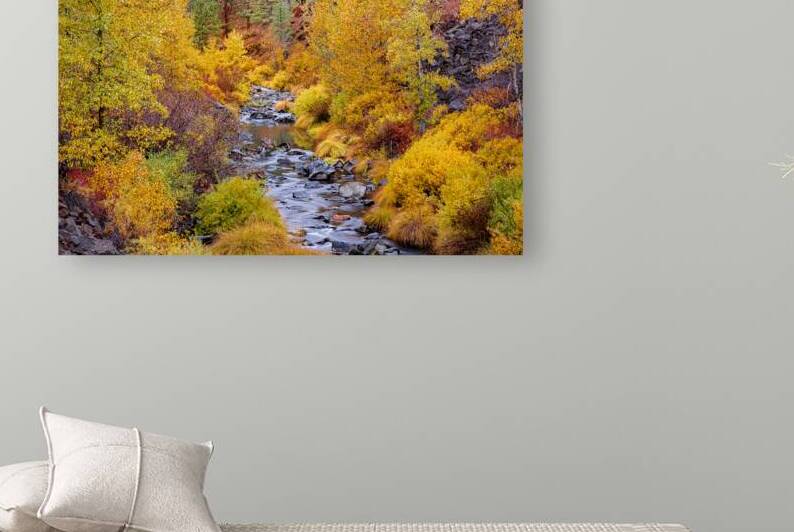 Susan River Fall Colors - Bizz Johnson Trail - Lassen County California by Mike Lee