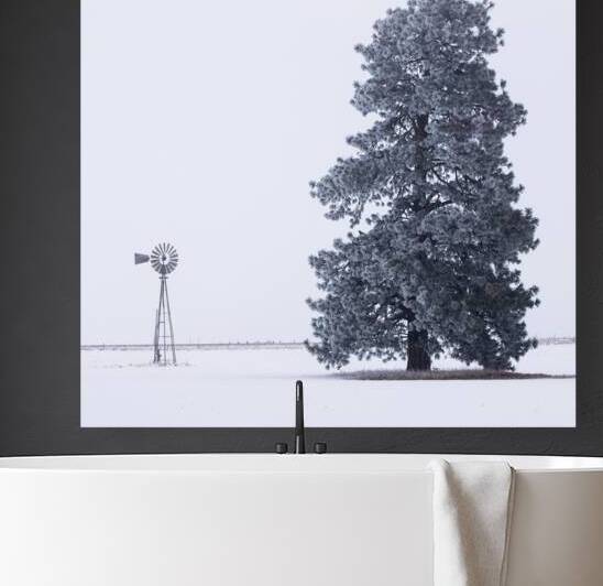 Frosty Pine and Windmill - Square Crop - Lassen County California by Mike Lee
