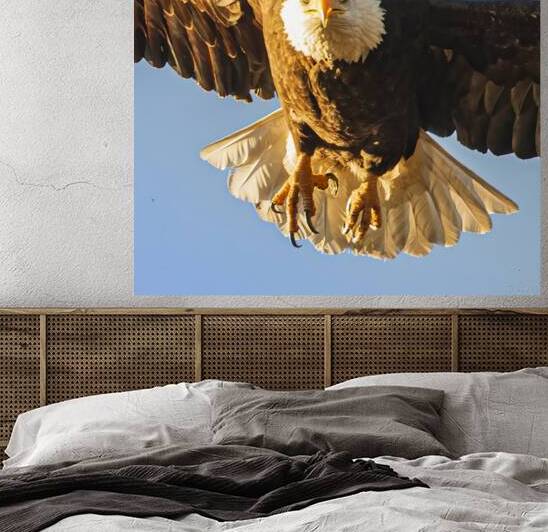 Intense Flight - Bald Eagle over Redding California by Mike Lee