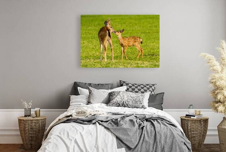 Chums - Mule Deer buck and Fawn - Lassen County California by Mike Lee