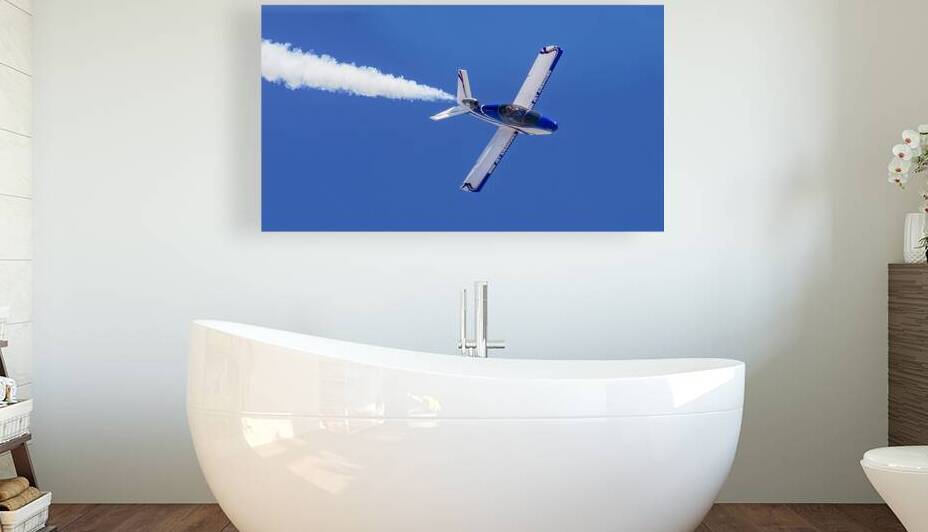 Mini Jet 2 - Minden Nevada USA by Mike Lee