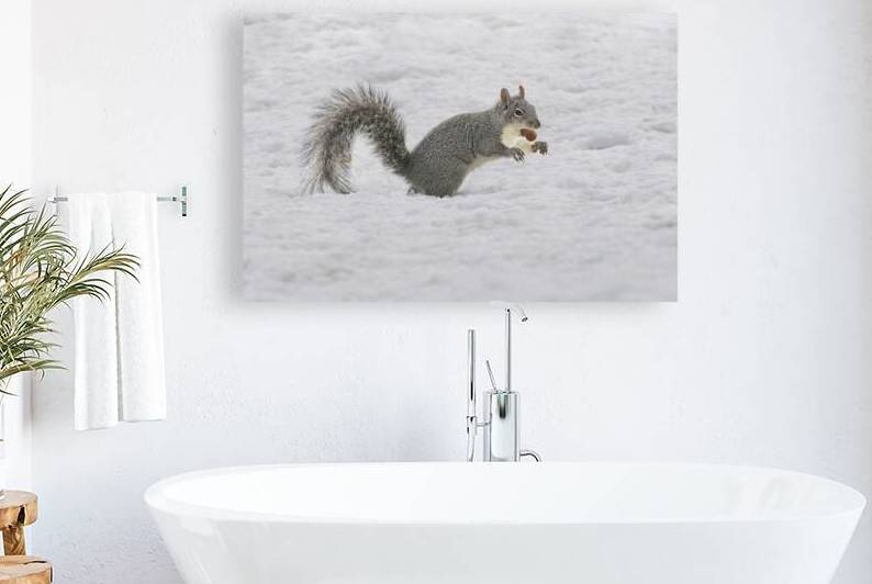 Found My Precious - Gray Squirrel in Lassen County California by Mike Lee