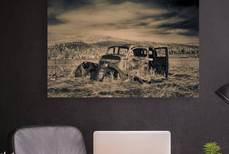 Ranch Park Relic - Susanville California by Mike Lee