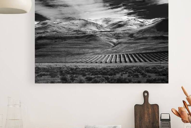 High Desert Solar Farm - Northwestern Nevada by Mike Lee