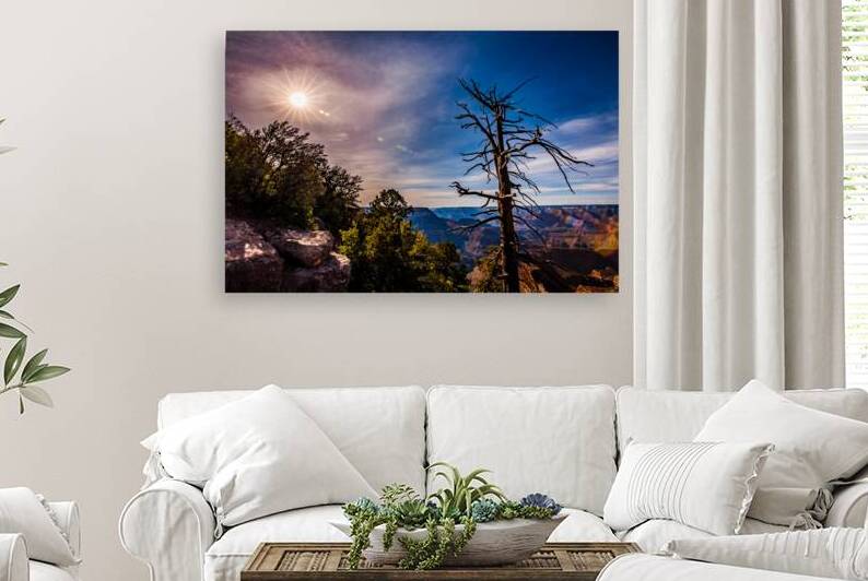 Grand Canyon Sunburst and Snag  by Mike Lee