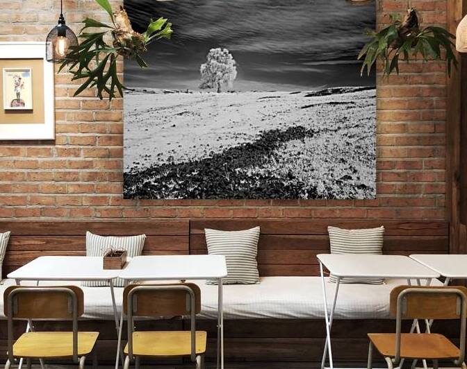 Lone Oak Infrared - Table Mountain - Butte County California by Mike Lee