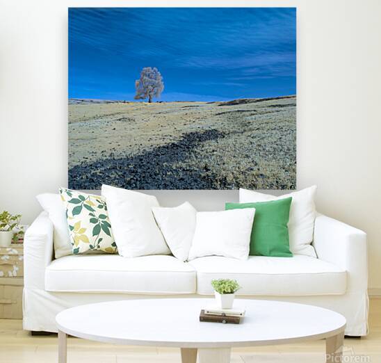 Table Mountain Lone Tree Infrared - Butte County California by Mike Lee