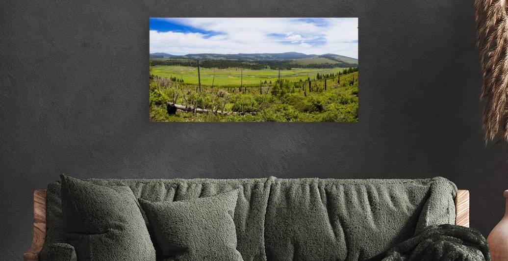 Patterson Mill Meadow Panorama - Modoc County California by Mike Lee