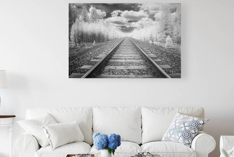 BNSF Tracks in Infrared - Lassen County California by Mike Lee
