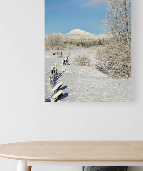Snowy Fence Line to Mount Lassen - Chester California by Mike Lee