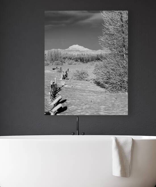 Snowy Fence Line to Mount Lassen - Chester California - Monochrome by Mike Lee