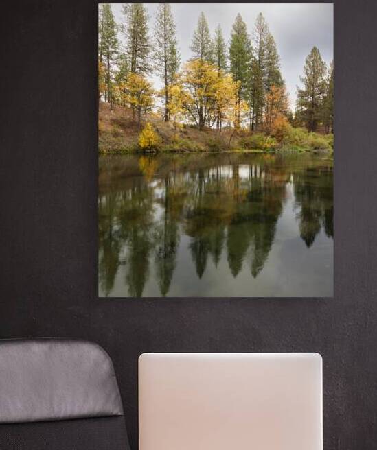 Autumn Reflections on Hat Creek Near Burney California by Mike Lee
