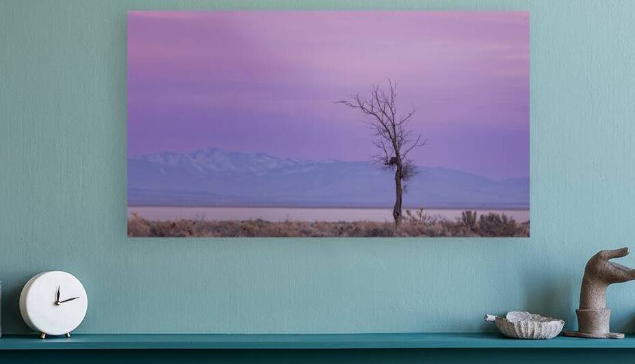 Weathered Cottonwood at Dusk - Honey Lake Valley California by Mike Lee
