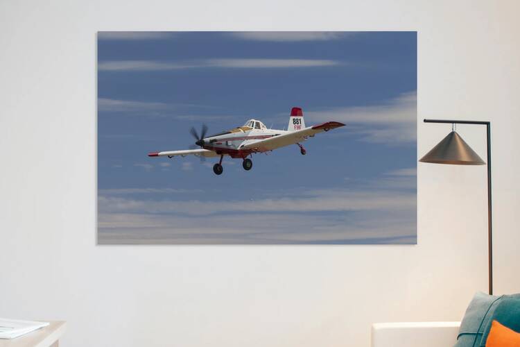 Pedro on Final Approach - Rogers Field - Chester California by Mike Lee