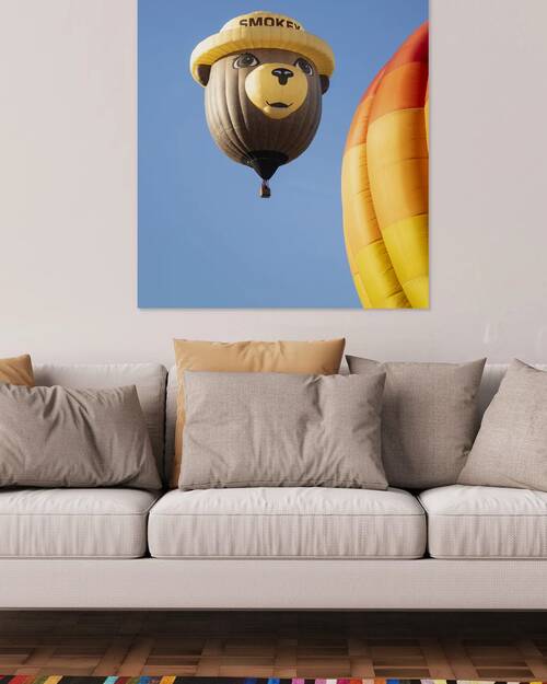 Smokey the Bear at Montague Hot Air Balloon Fair by Mike Lee