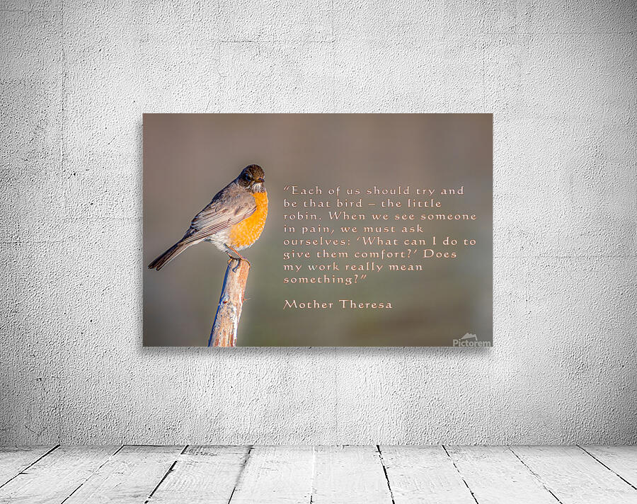 Be The Robin Wall Preview