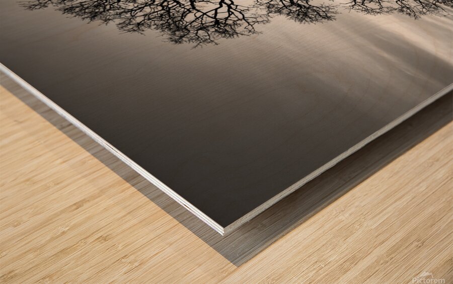 Timeless Strength Monochrome - Lone oak in the Sacramento Riverbend Area - Tehama County California Wood print