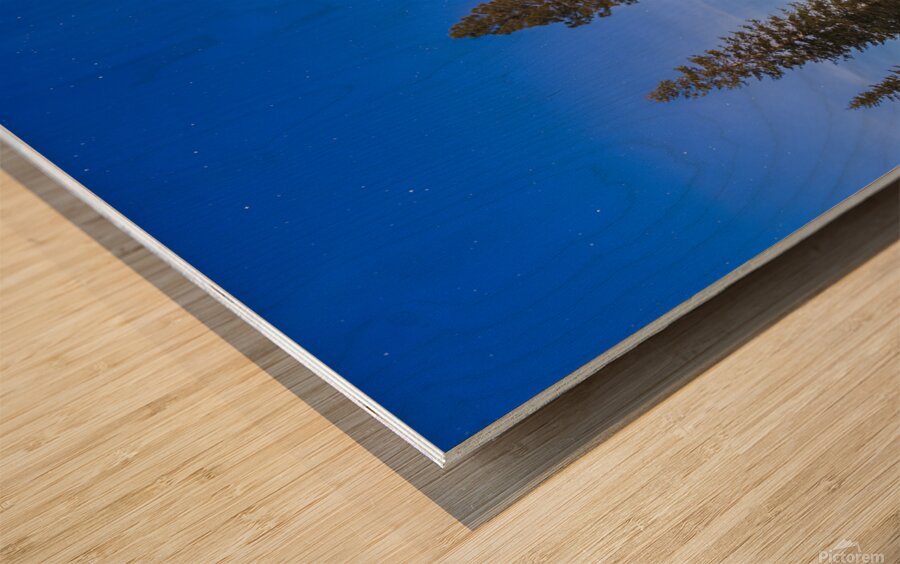 Moonlit Sentinel - Long Lake - Lassen County California nightscape Wood print