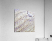 Fleeting Feather Acrylic Print