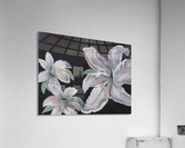  Lillies Acrylic Print