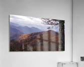 Spotlight  Acrylic Print