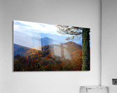 Spotlight enhanced Acrylic Print