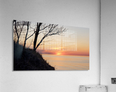 Peach Tea Acrylic Print