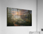 Miller Woods Sunset Acrylic Print