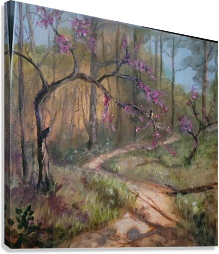 Adventure Awaits Canvas Print