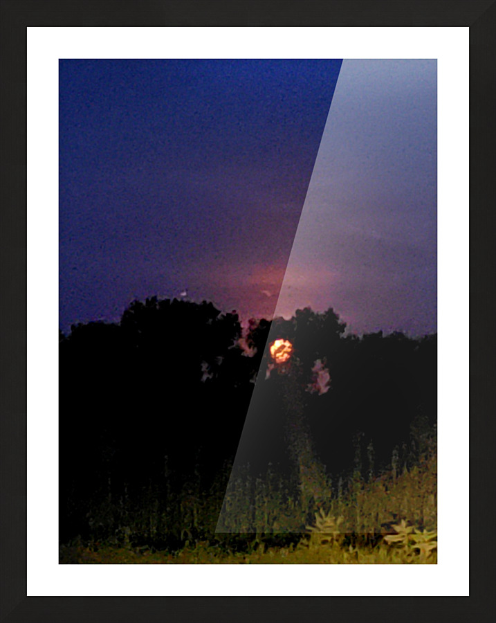 Hide n Seek Picture Frame print