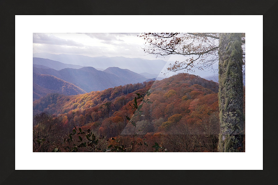 Spotlight  Picture Frame print