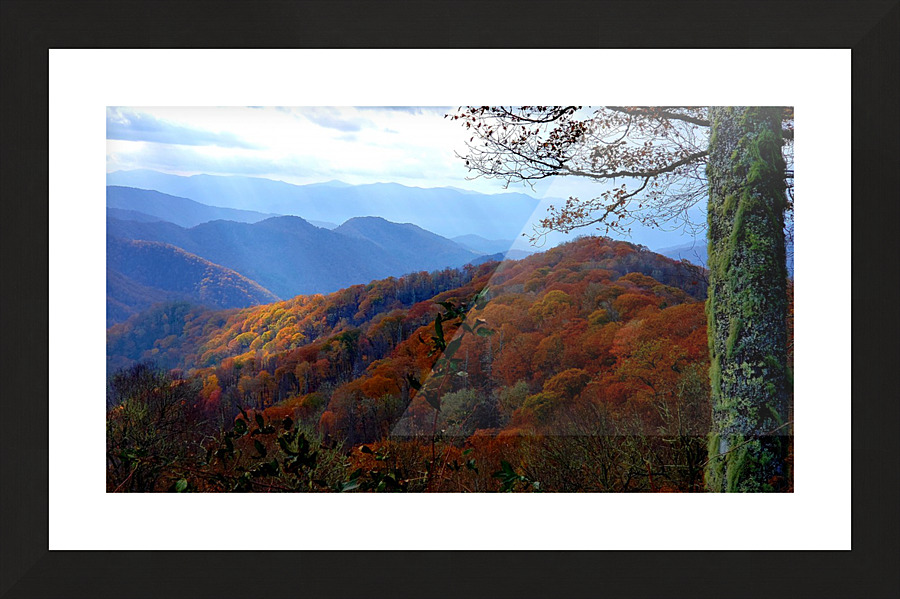 Spotlight enhanced Picture Frame print