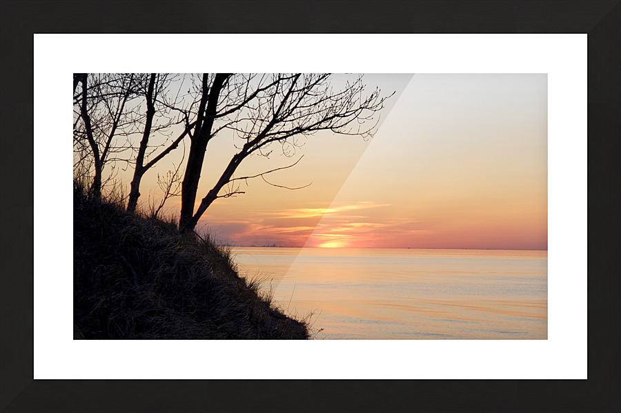Peach Tea Picture Frame print